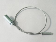Cable Seal - 01